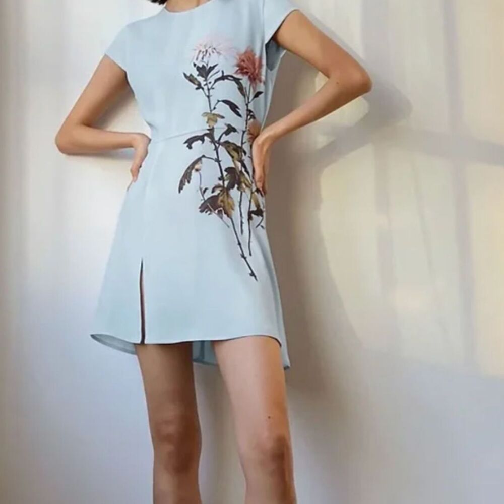 Babaton Hampton Mini Dress – Blue Floral